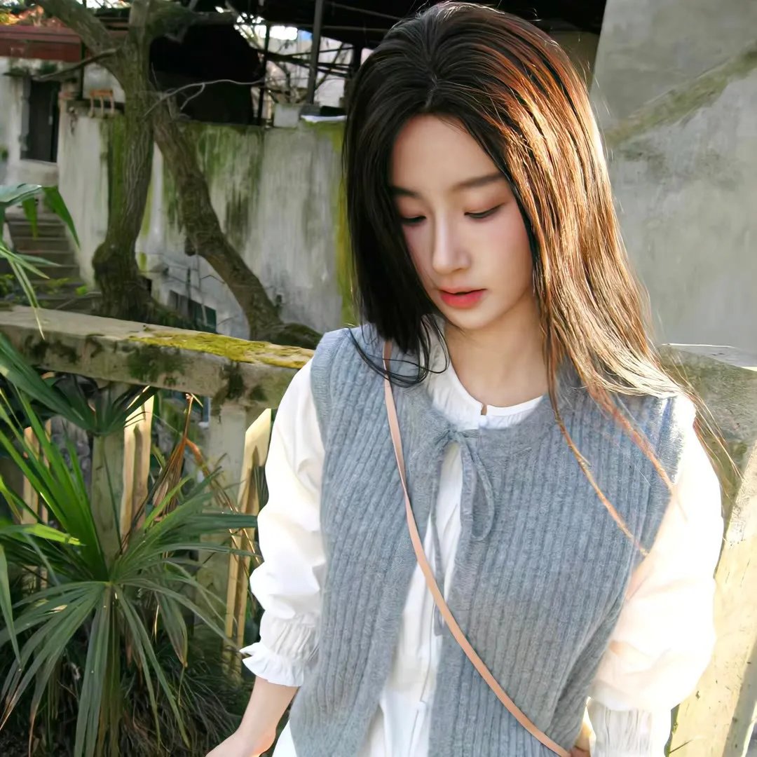 远去的飞鹰